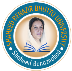 SBBU SBA Logo